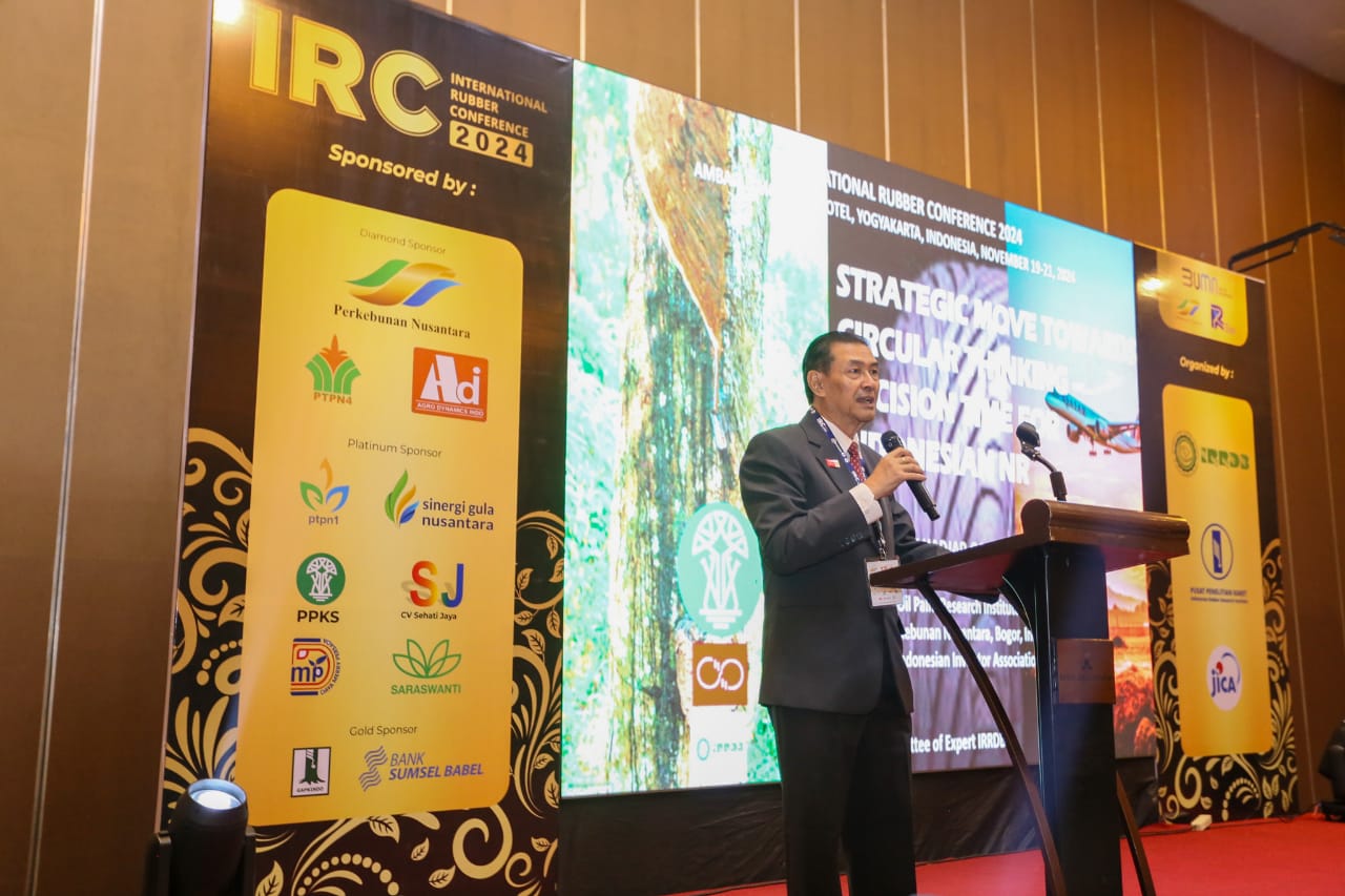 Biofuel dan Perdagangan Karbon, Masa Depan Karet