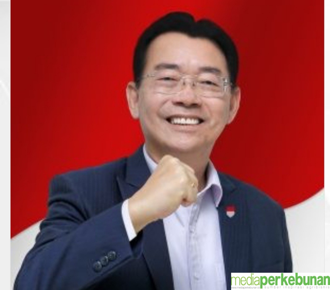BANGKITKAN INDUSTRI GULA KELAPA, PETRUS TJANDRA BAGIKAN 20.000 BENIH KELAPA GENJAH
