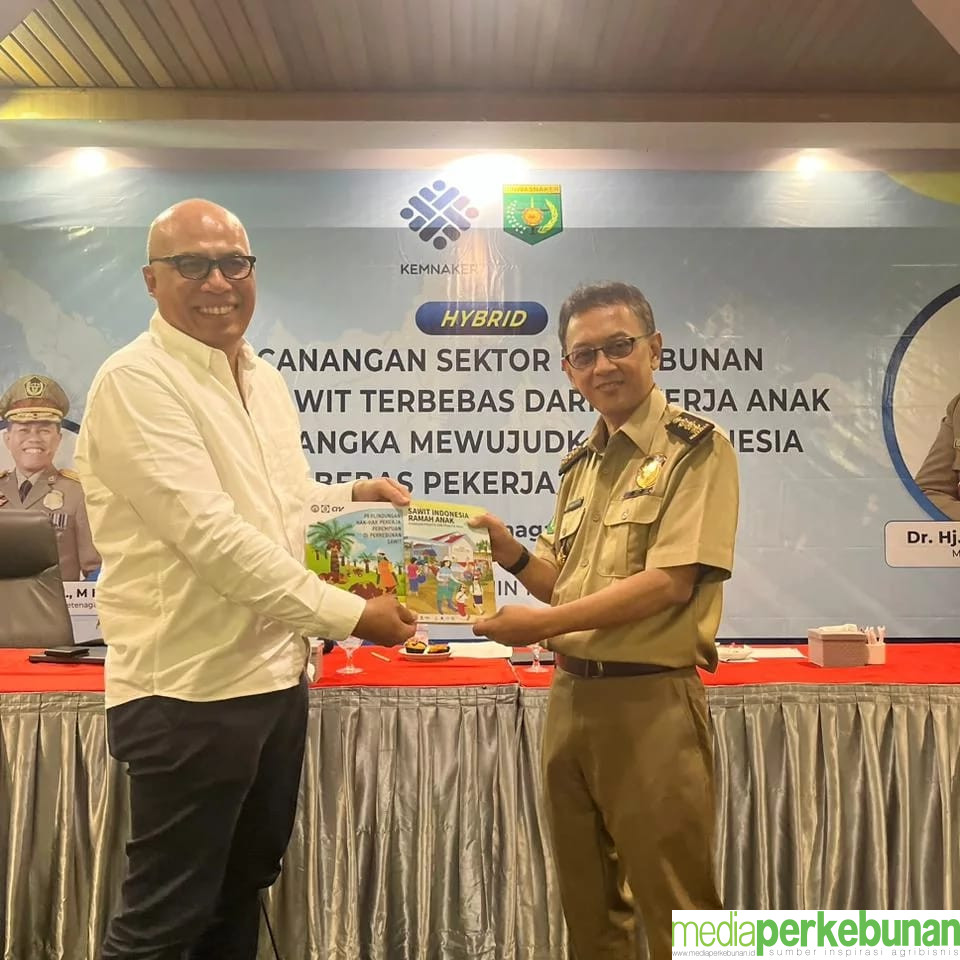 112 Tahun Sawit Nasional: SIRA