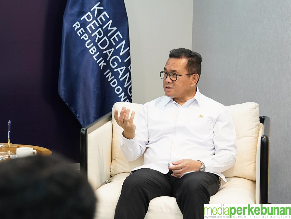 Ini Bocoran Langkah Pemerintah Indonesia Selanjutnya Terkait Keputusan WTO