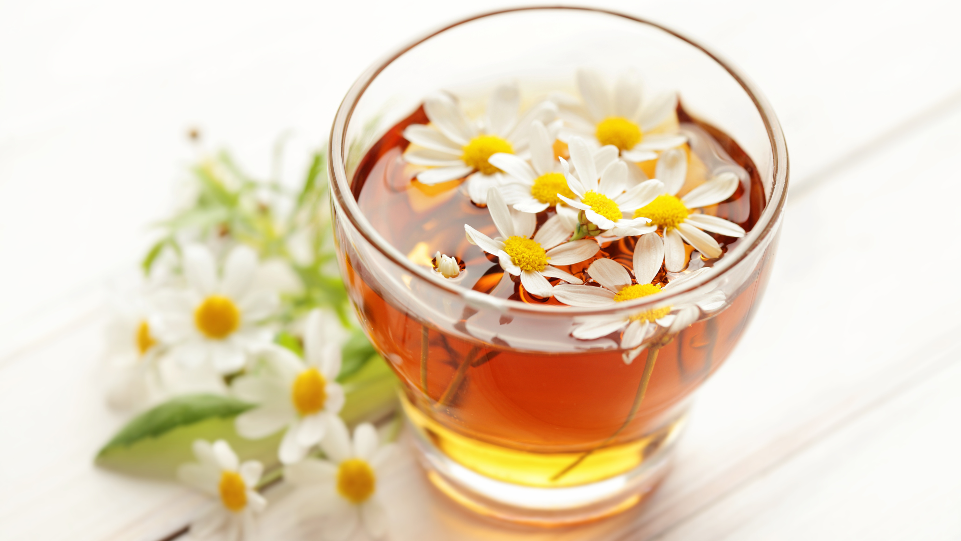 Chamomile, Teh untuk Tidur Pulas ini Punya 8 Manfaat Lain yang Jarang Diketahui!