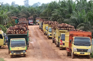 Industri Kelapa Sawit Nasional Berdaya Saing di Pasar Eropa