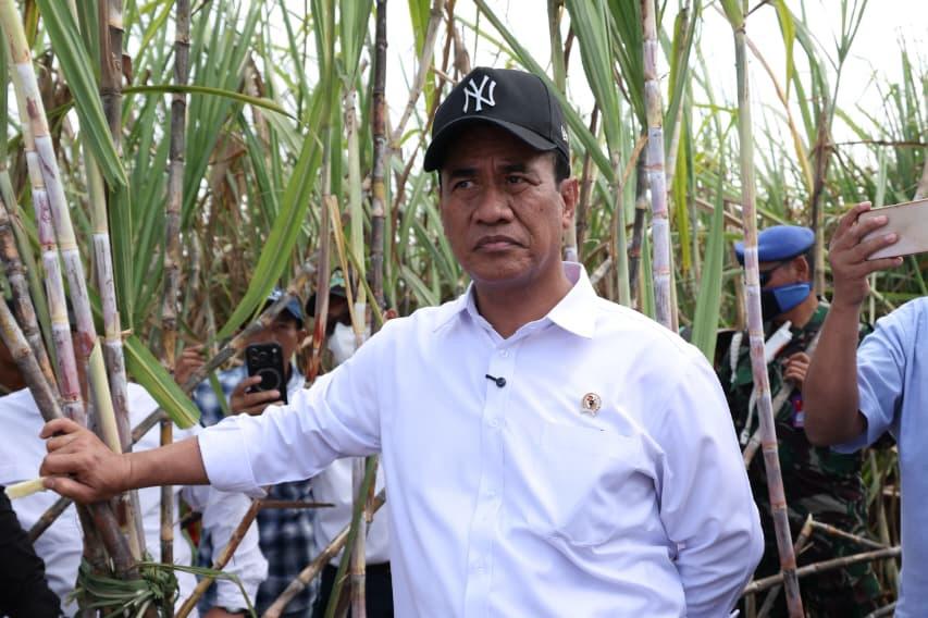 Kejar Swasembada Gula Dua Tahun, Mentan Amran Percepat Peremajaan dan Perluasan Tebu di Tulang Bawang