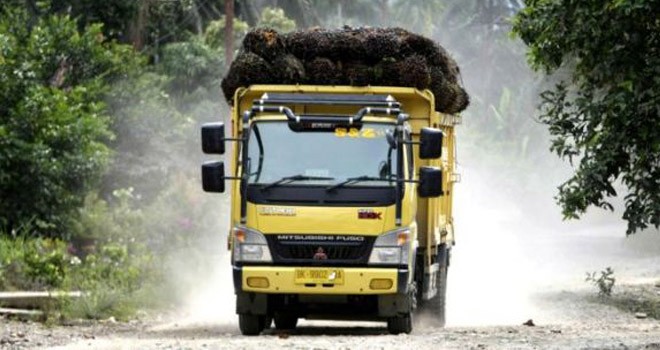 Harga Sawit Jambi Masih Naik