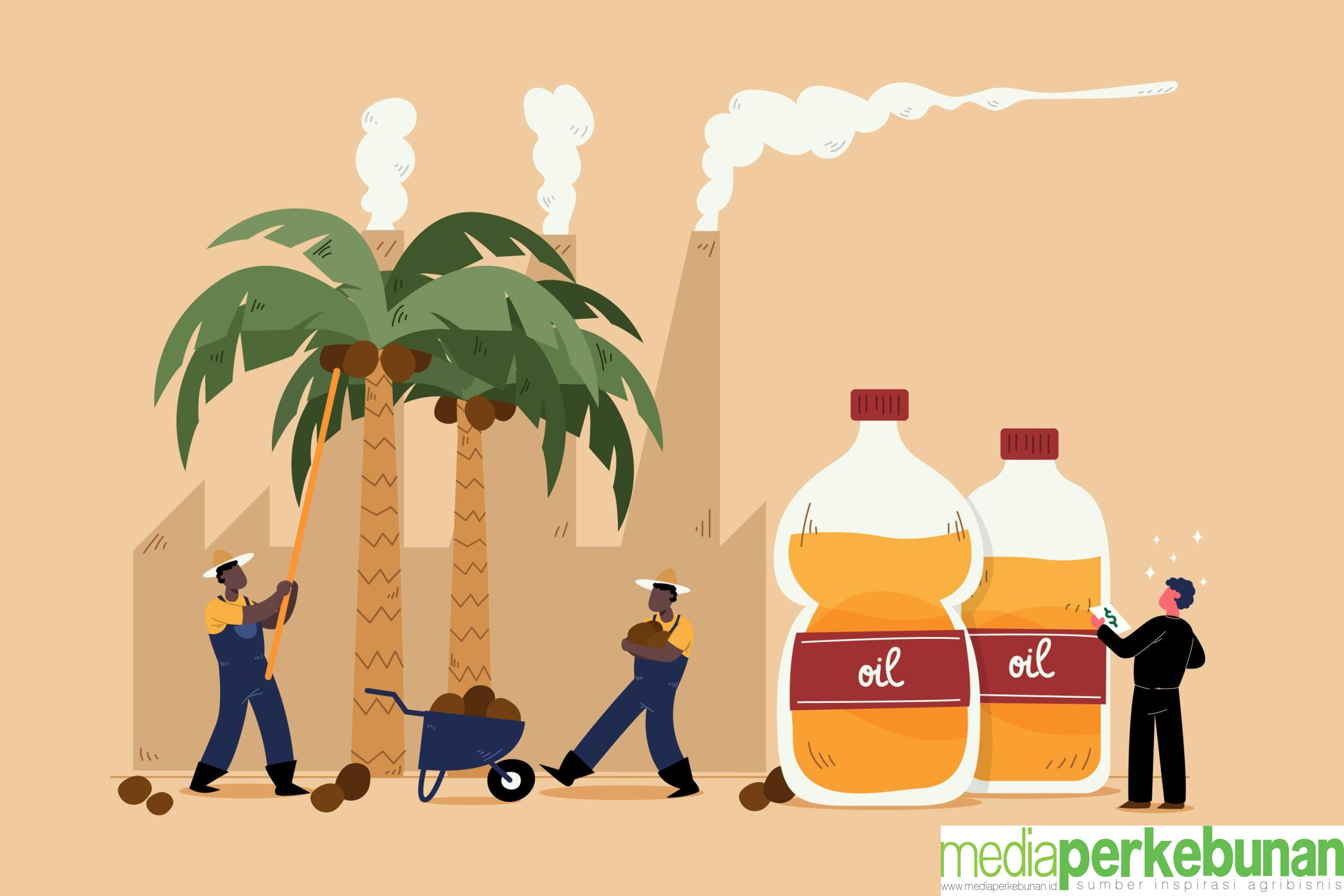 Teknologi Pabrik Kelapa Sawit Indonesia Sulit Ditingkatkan, Ini Penyebabnya!