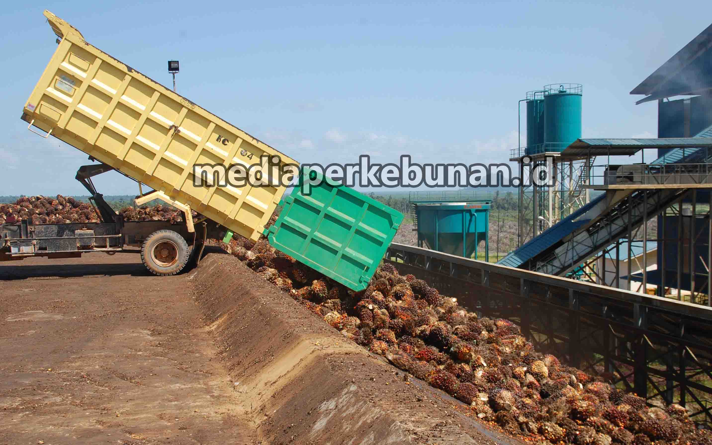GAPKI MINTA PEMERINTAH JAGA NERACA PERDAGANGAN  MINYAK SAWIT