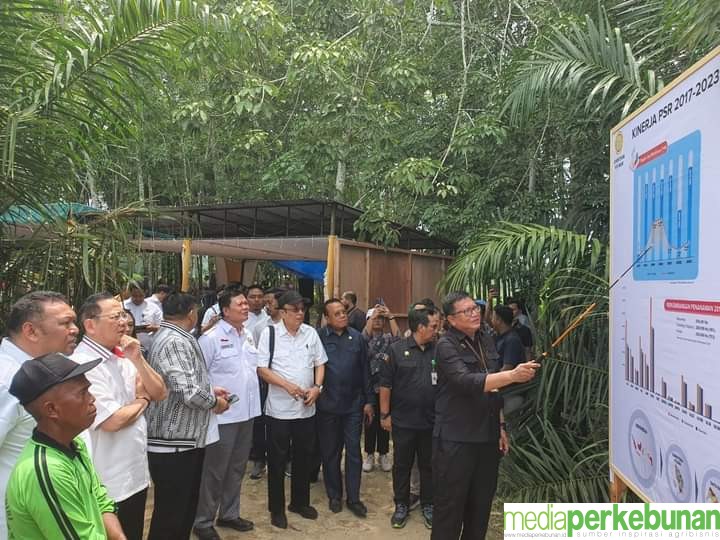 DPR DAN DIRJEN TINJAU  PSR BATU BARA, JANGAN TAKUT IKUT PSR