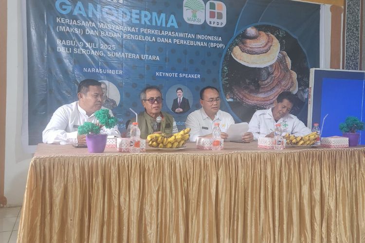 Didukung BPDP, MAKSI Berbagi Ilmu ke Petani Sawit di Sergai Terkait Ganoderma