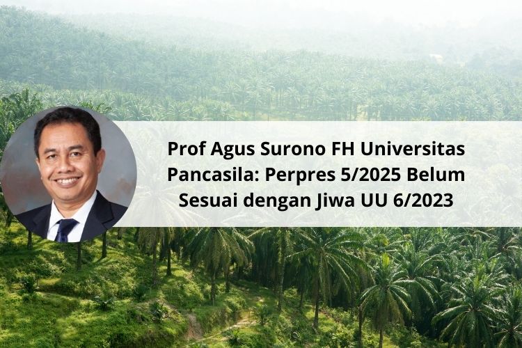 Prof Agus Surono FH Universitas Pancasila tentang Penertiban Kawasan Hutan: Perpres 5/2025 Belum Sesuai dengan Jiwa UU 6/2023
