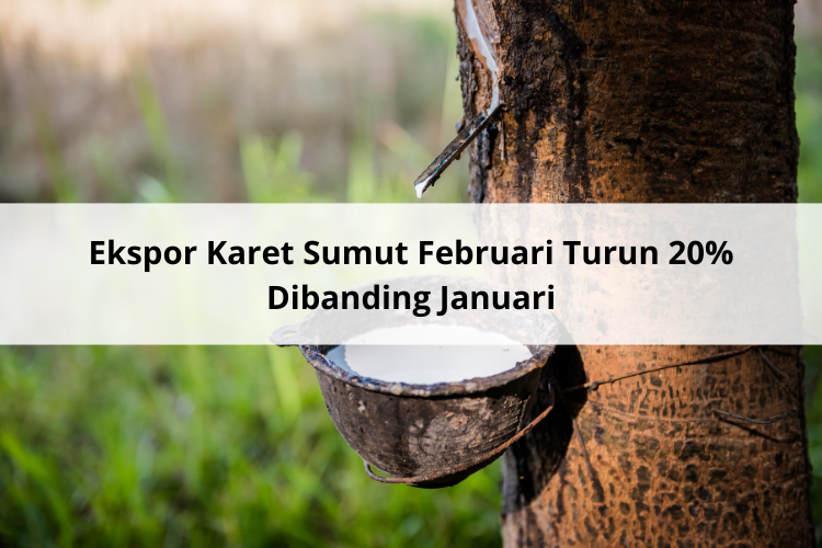 Ekspor Karet Sumut Februari Turun 20% Dibanding Januari