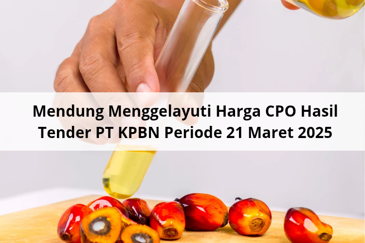Mendung Menggelayuti Harga CPO Hasil Tender PT KPBN Periode 21 Maret 2025