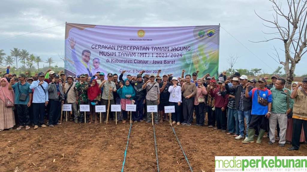 Kementan Dorong Akselerasi Tanam Jagung, Optimis Tidak Ada Lagi Lahan Tidur di Cianjur