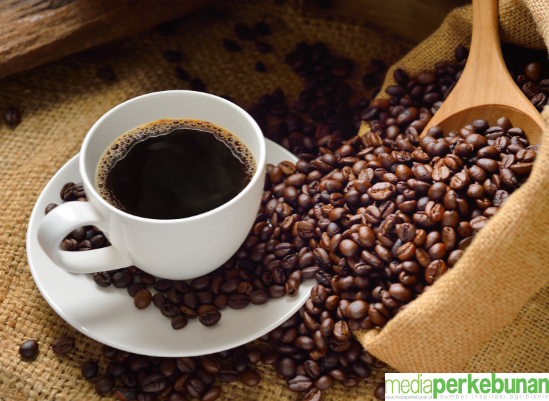 Inilah 10 Jenis Kopi dari Indonesia yang Sudah Mendunia
