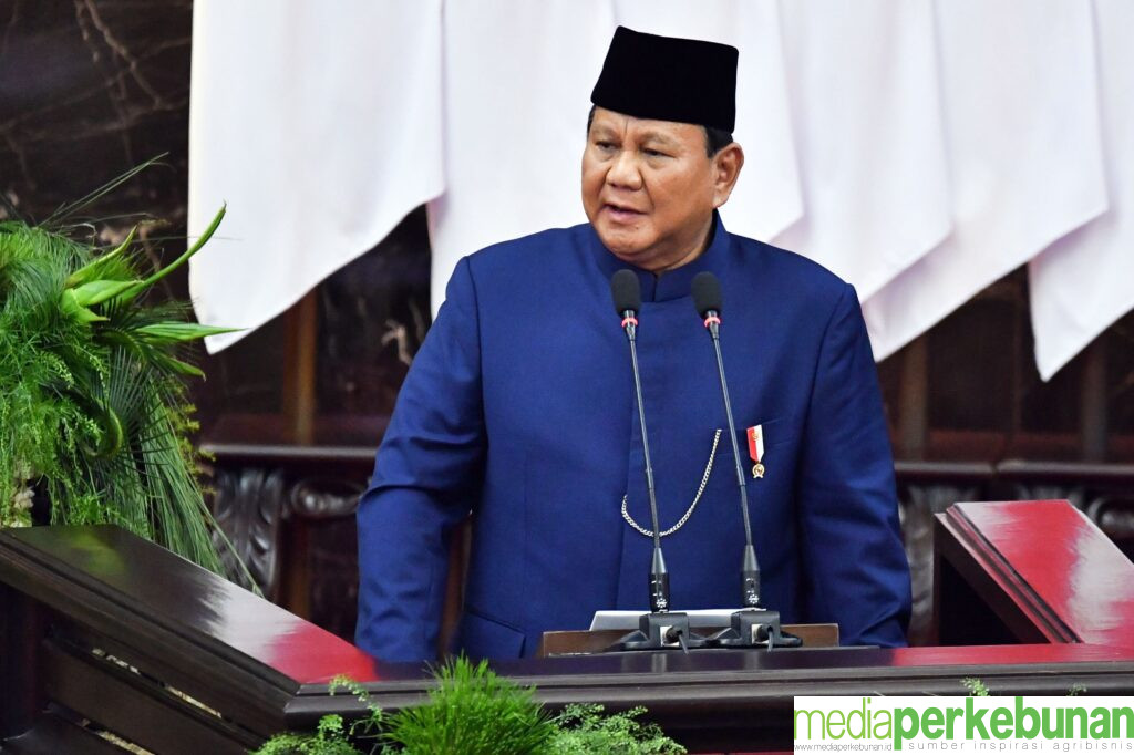 Pemerintah Diminta Pertimbangkan Rencana Alihfungsi Lahan 20 Juta Ha untuk Sawit