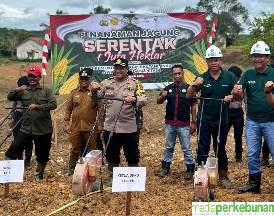 Tanam Jagung Serentak, Astra Agro Dukung Program Swasembada Pangan 2025