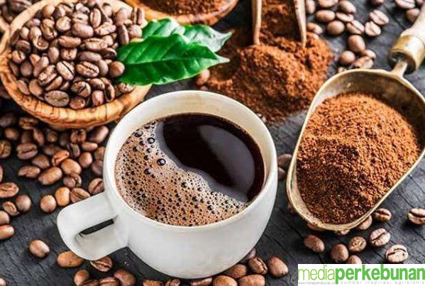 Naik Rp 10.000 Per Kg, Tersenyum Manis Petani Kopi di Kabupaten Karo