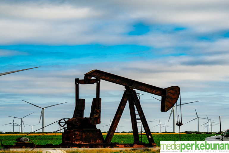 <strong>Maksud Greenflation: Istilah yang Muncul dalam Debat Cawapres Kedua 2024</strong>