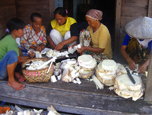Umbut Kelapa Sawit, Diabaikan tapi Bisa Sembuhkan Beragam Penyakit Manusia