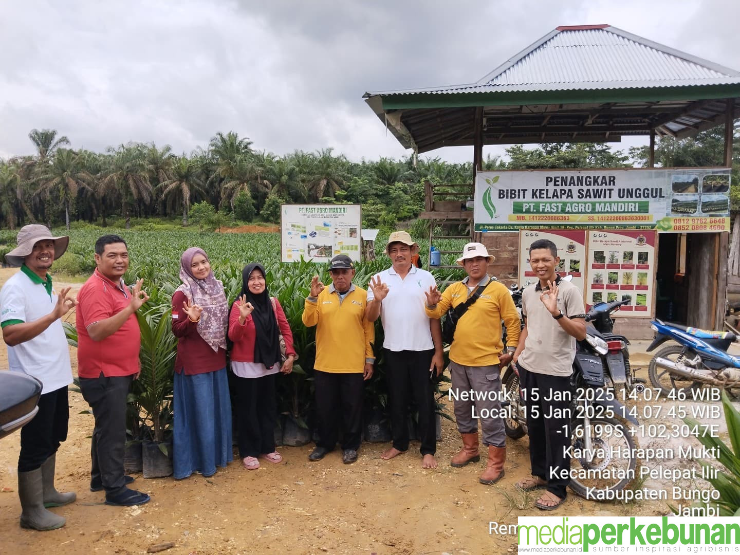 Pengumuman Dirjenbun Bikin Penangkar Sawit Tersenyum Bahagia