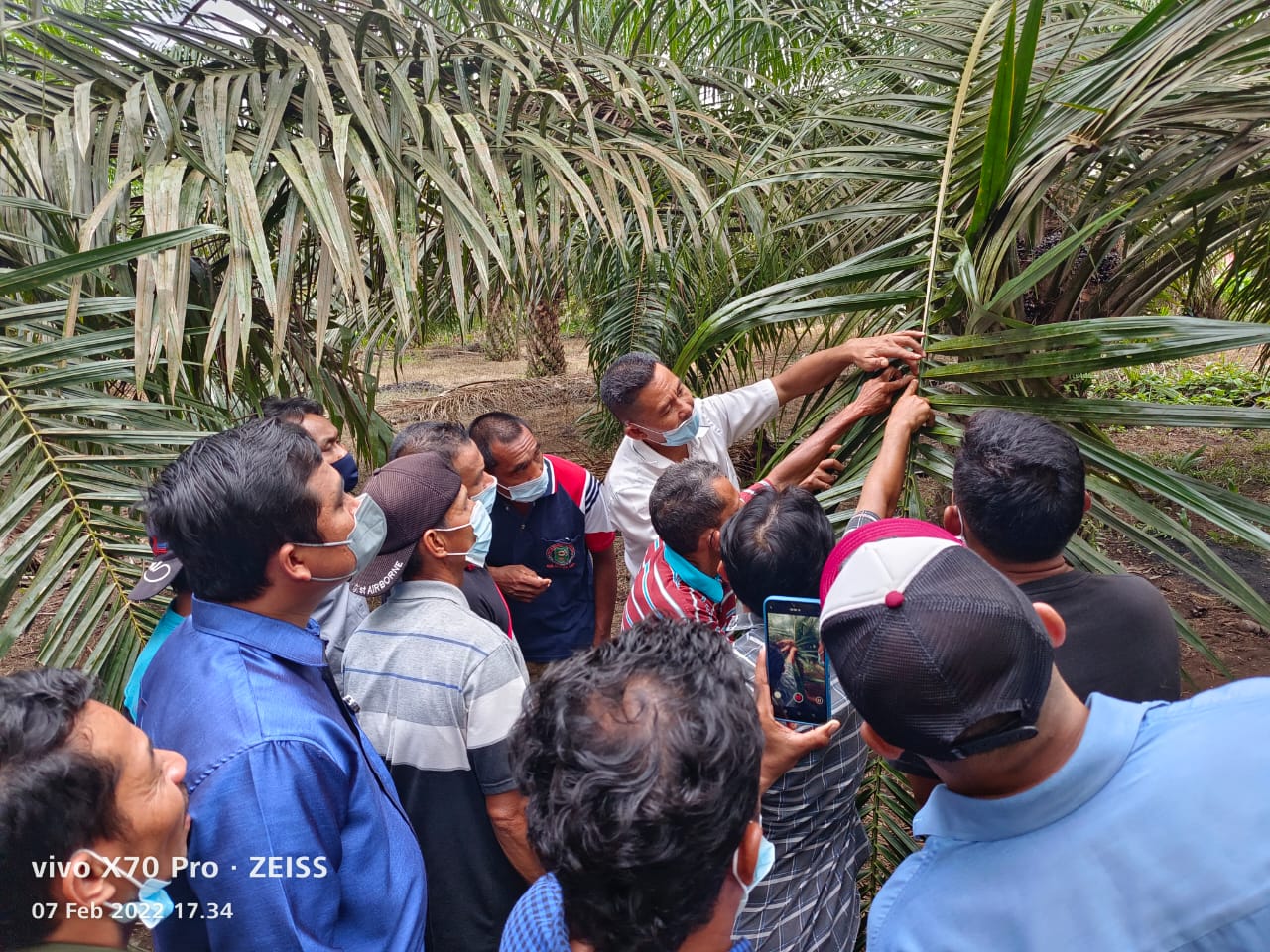 Wilmar Gandeng Petani Tingkatkan Kapabilitas Berkebun