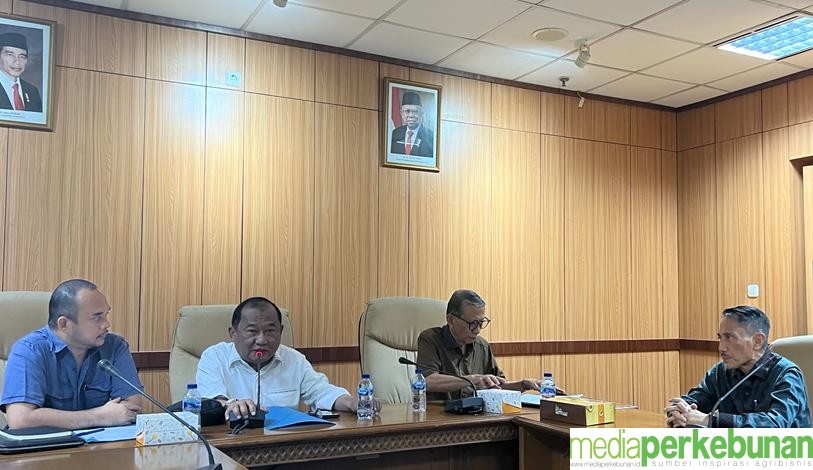 DEKINDO DUKUNG WORLD COCONUT DAY 2023