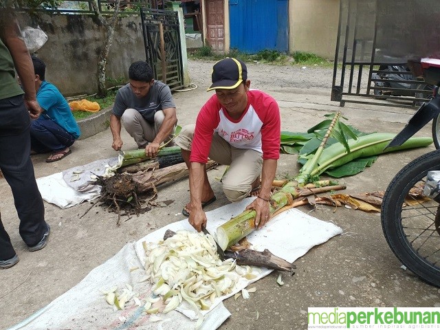 Ditjen Perkebunan Tingkatkan Kualitas Produksi Kopi Organik