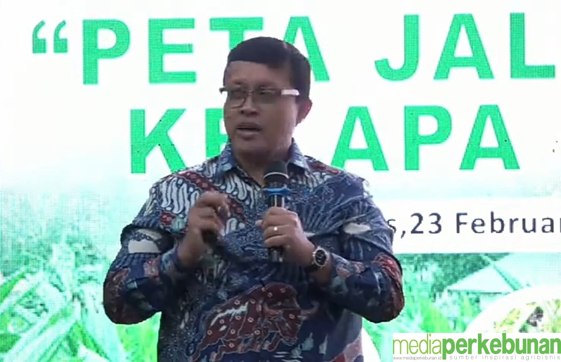 FKPB-KS : EKSPOR BENIH SAWIT JADIKAN INDONESIA PEMAIN GLOBAL