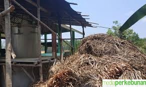 DEWAN ATSIRI INDONESIA KERJASAMA DENGAN PERHUTANI/APHI PENUHI KEBUTUHAN BAHAN BAKU
