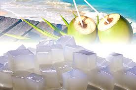 IICCE 2026, Mengupas Potensi Besar Pengembangan Industri Nata De Coco di Indonesia