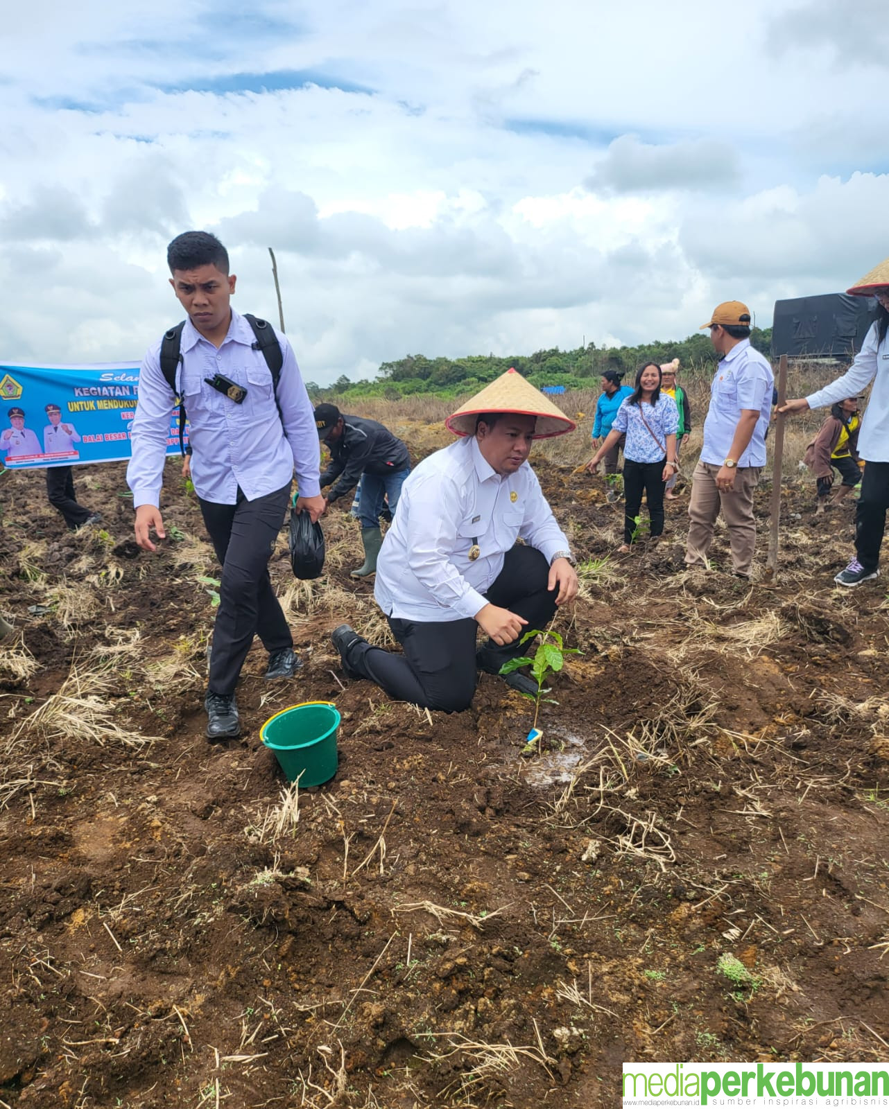 Kementan Perkuat Produktivitas Kopi di Samosir