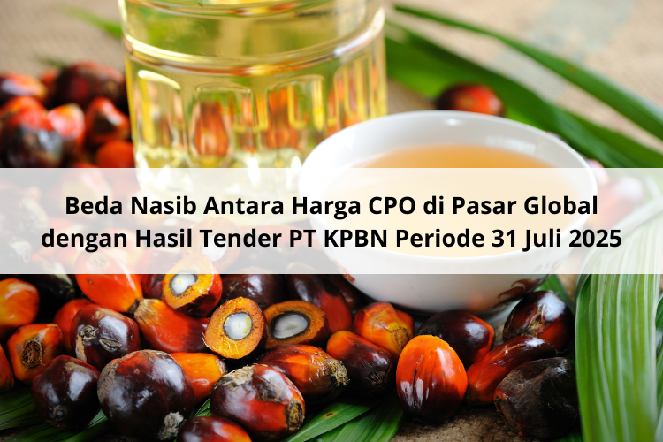 Beda Nasib Antara Harga CPO di Pasar Global dengan Hasil Tender PT KPBN Periode 31 Juli 2025