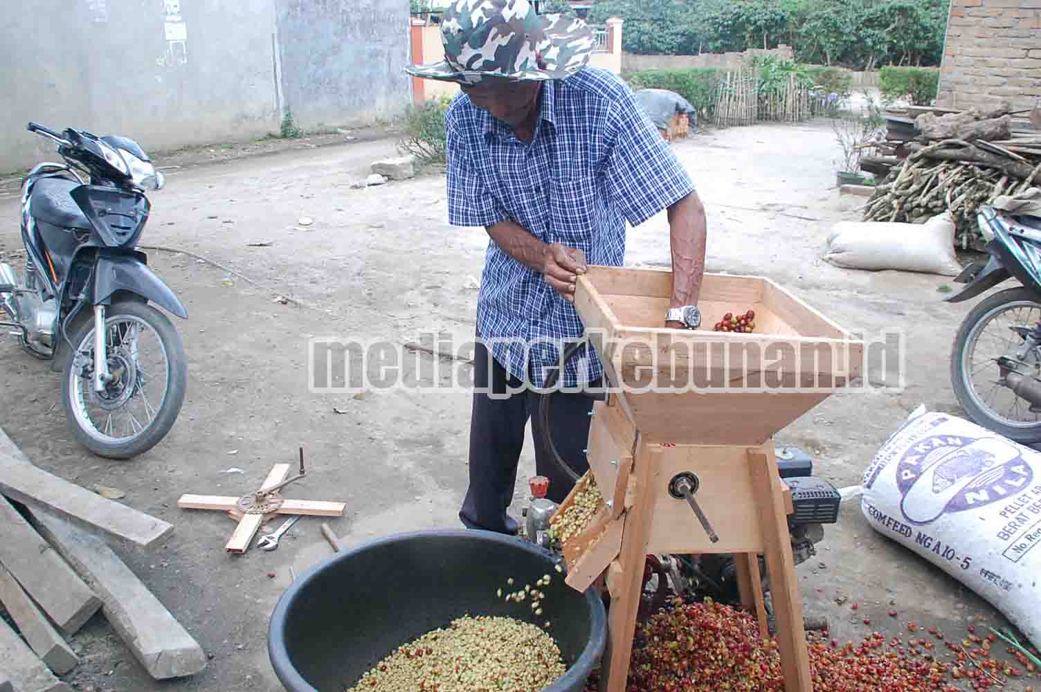 Pemerintah Mendorong Petani Kopi Berkoperasi