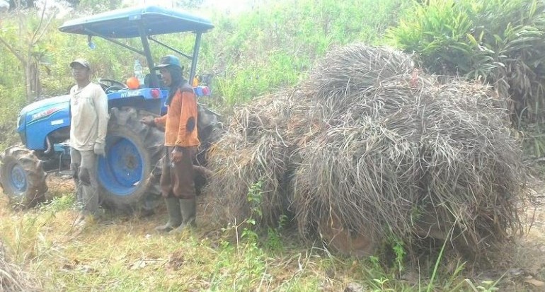 Hilirisasi Pasca Panen Sangat Diperlukan