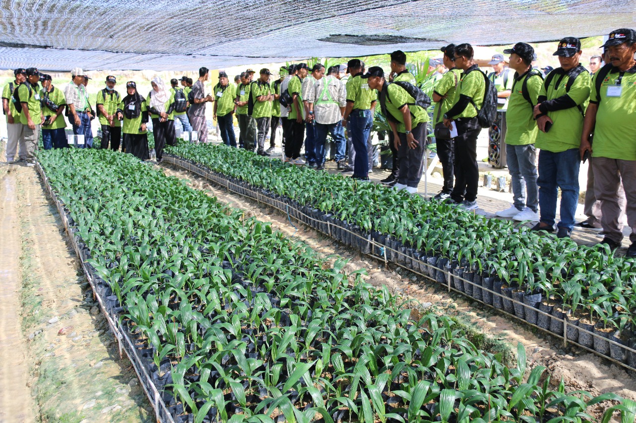 BPDP, Ditjenbun, dan BPI Selenggarakan Pelatihan Pekebun Sawit Gelombang 7 Angkatan XIV Asal Rokan Hulu