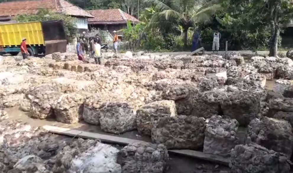 PUPR Akan Beli Karet Rakyat Miliaran Rupiah