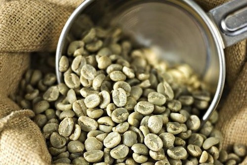 Fakta Menarik White Coffee, Kopi Lezat Kaya Manfaat
