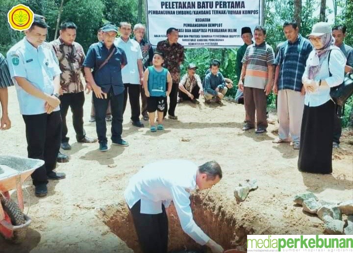 Ditjenbun Sosialisasi Pembangunan  Demplot Mitigasi dan Adaptasi Perubahan Iklim di Ponorogo