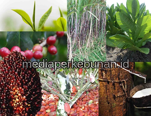 Perkebunan Meriahkan HPS Ke-41