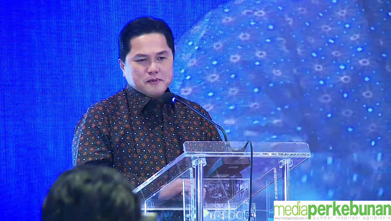 ERICK THOHIR TENTANG GULA : MASA MAU GINI-GINI AJA