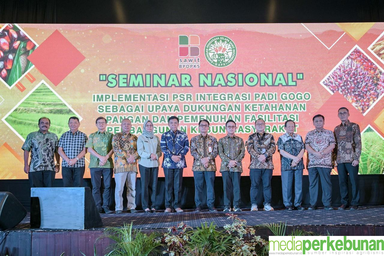 GAPKI KALTIM DAN BPDPKS BAHAS PSR DAN FPKM