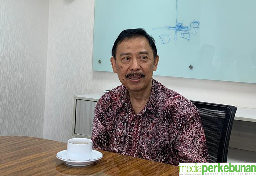 GAPGINDO: Harus Membenahi Simpul Kritis untuk Mencapai Swasembada Gula 2030
