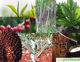 Desa Organik Tingkatkan Produktivitas dan Pendapatan Petani