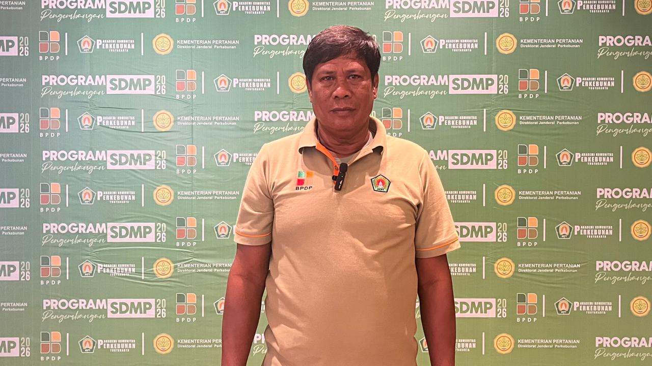 Petani Keluhkan Bibit Palsu dan Tidak Adanya PKS di Kabupaten Wajo: Harga TBS Kami Sangat Rendah