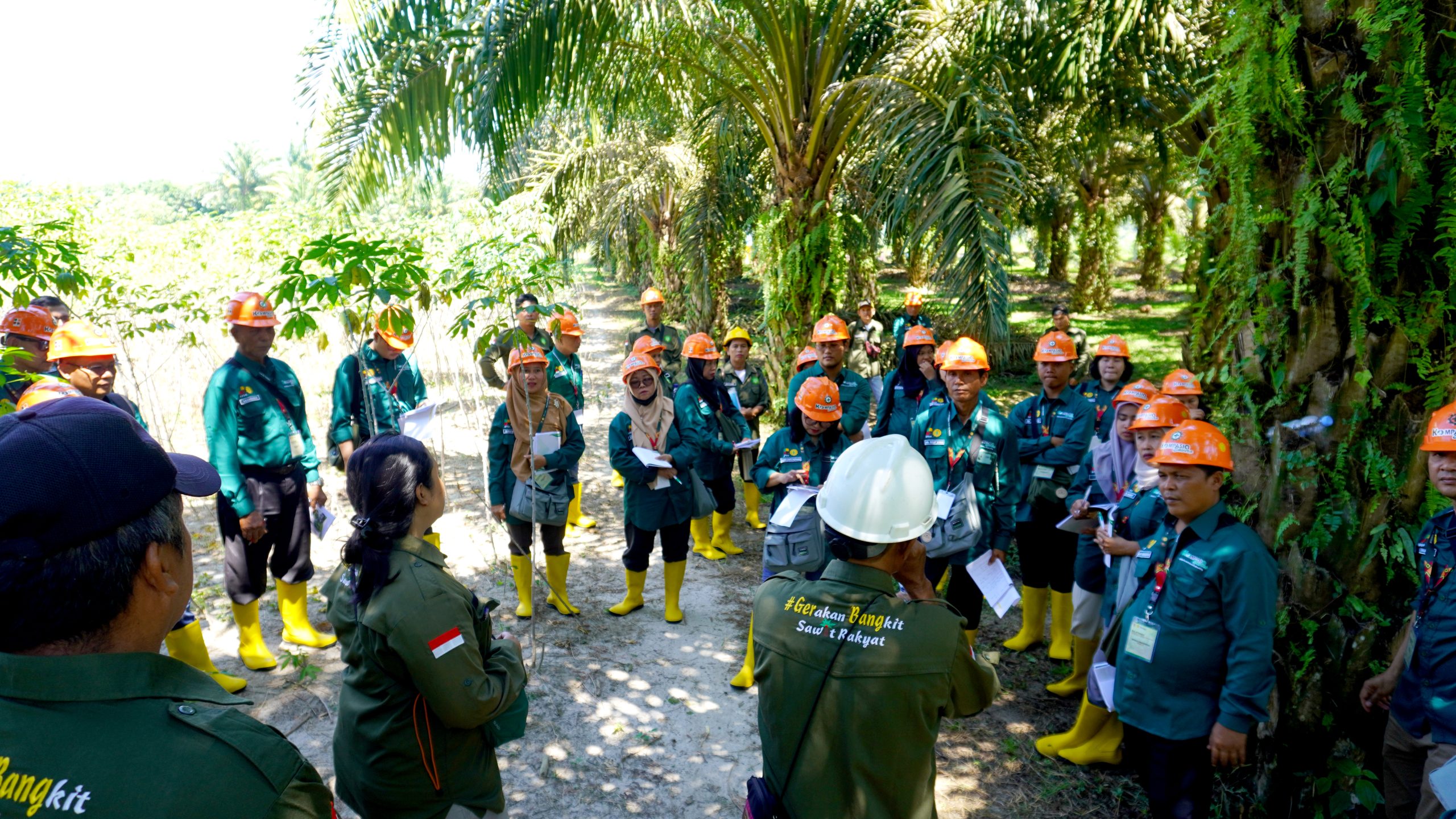 Tingkatkan Pengetahuan ISPO, BPDP dan Ditjen Perkebunan Adakan Pelatihan Komprehensif bersama Koompasia