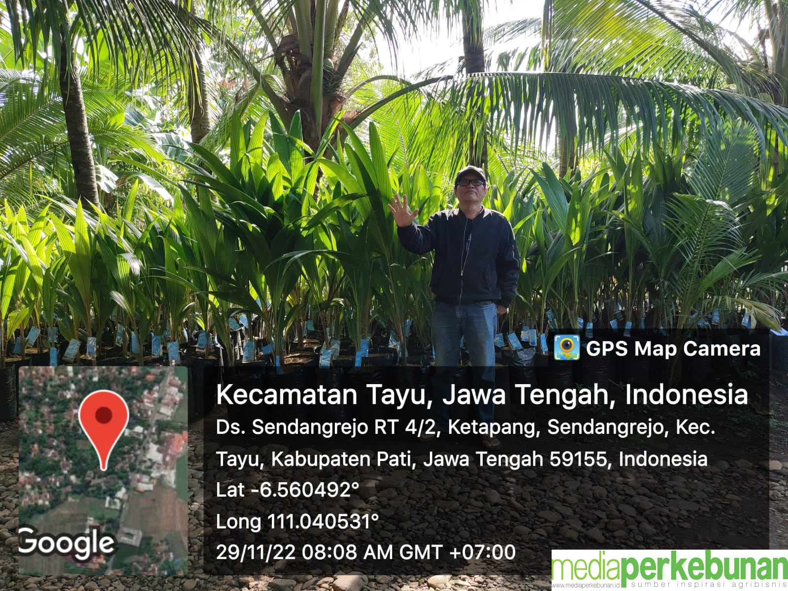 KELAPA GENJAH KOPYOR PATI, HAL YANG BAIK DARI PATI
