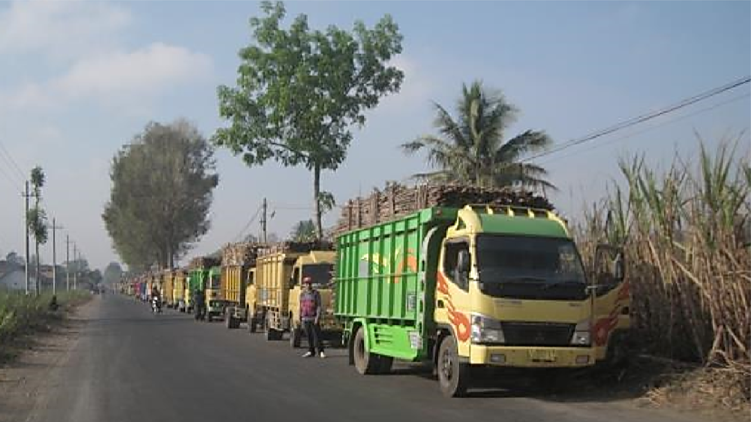 DISBUN JATIM SINERGIKAN ON FARM OFF FARM TEBU