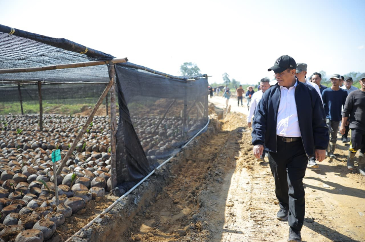 MENTAN: Pembibitan Kelapa dan  Kakao Sultra Sangat Baik