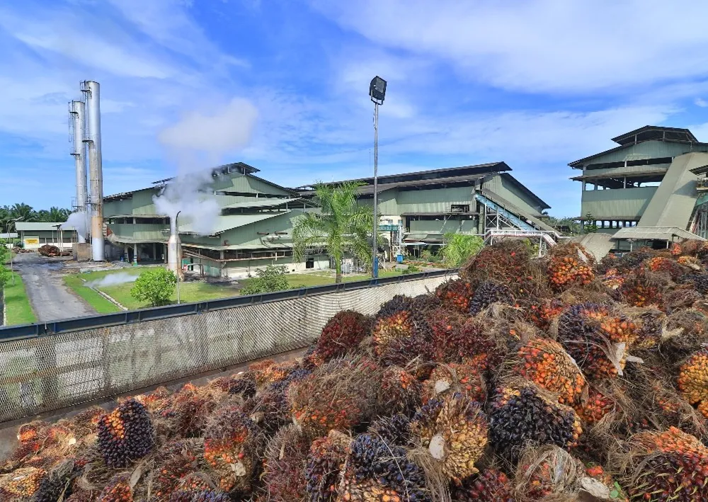 Astra Agro Rancang Program Optimalisasi dan Efisiensi Pabrik