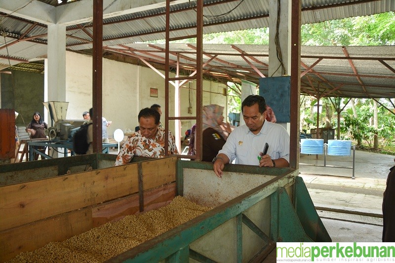 Ditjen Perkebunan Berkolaborasi dengan Puslitkoka Bangunan Nurseri Modern