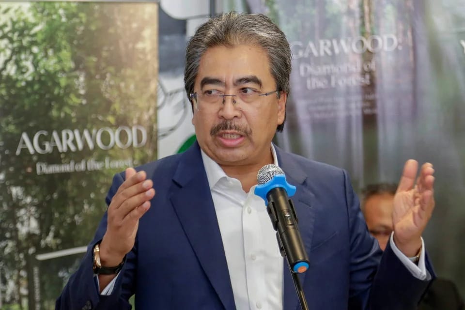 Patuhi Aturan, Petani Sawit Malaysia Siap Hadapi EUDR